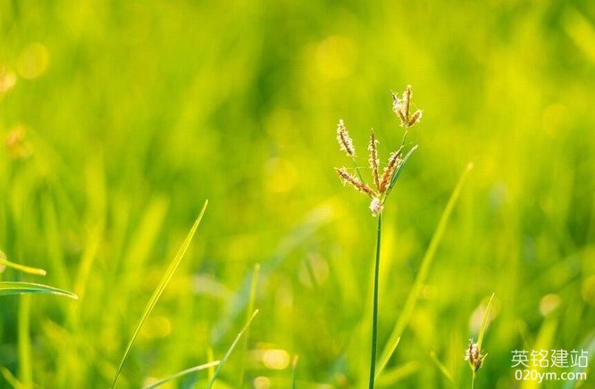 777久久久精品一区二区三区