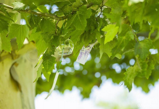 777久久久精品一区二区三区