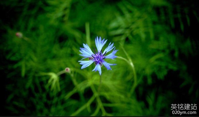 777久久久精品一区二区三区