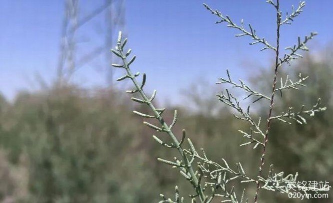 777久久久精品一区二区三区