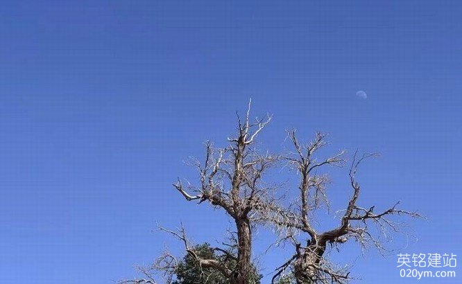 777久久久精品一区二区三区