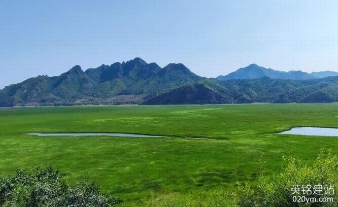 777久久久精品一区二区三区