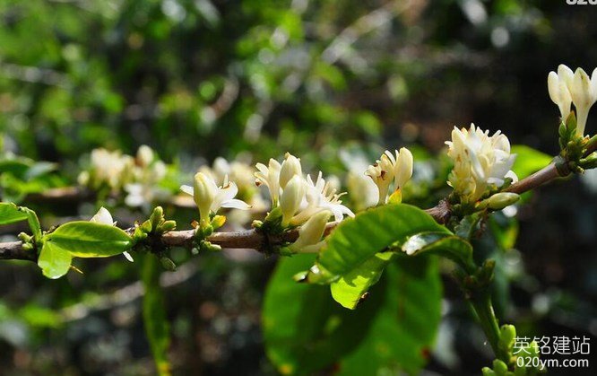 777久久久精品一区二区三区