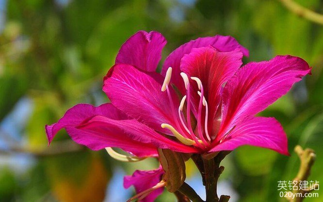 777久久久精品一区二区三区