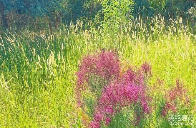 777久久久精品一区二区三区