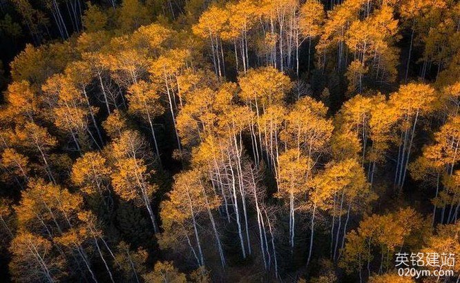 777久久久精品一区二区三区