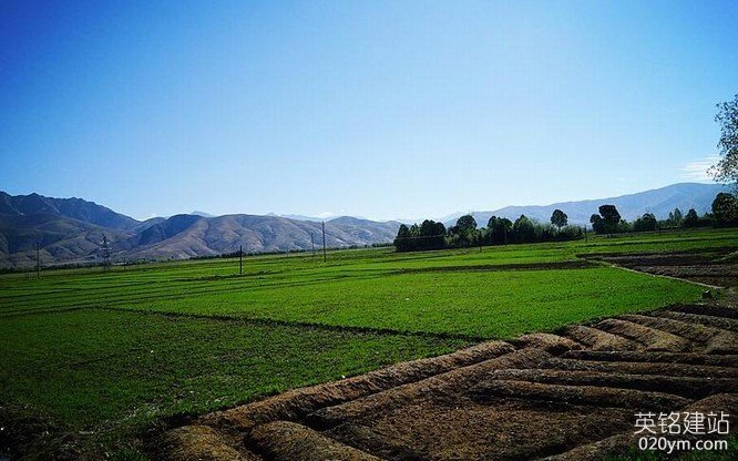 777久久久精品一区二区三区