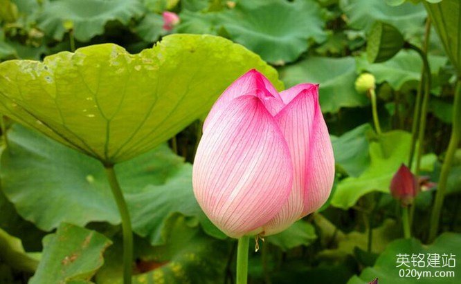 777久久久精品一区二区三区