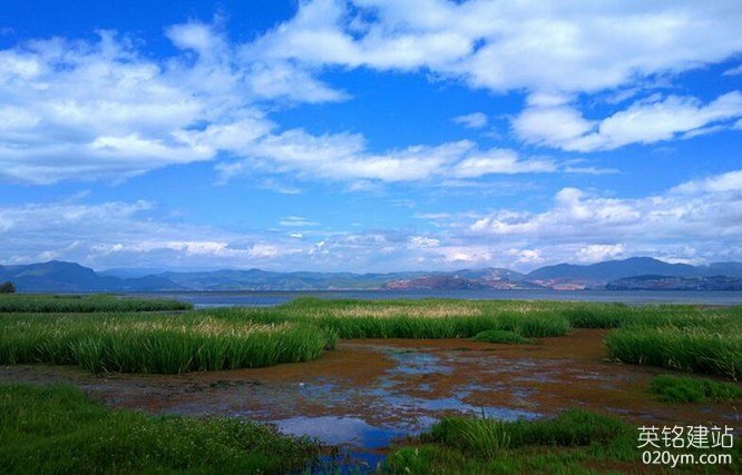 777久久久精品一区二区三区