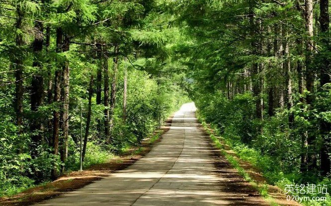 777久久久精品一区二区三区