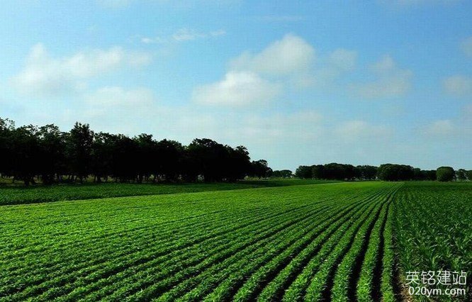 777久久久精品一区二区三区