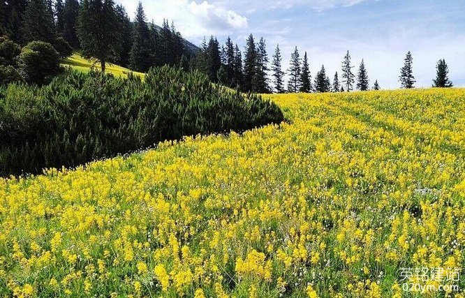 777久久久精品一区二区三区