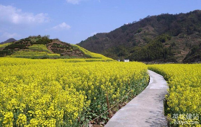 777久久久精品一区二区三区