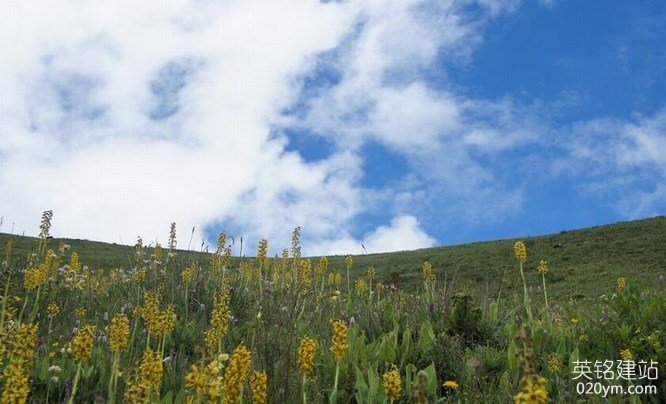 777久久久精品一区二区三区