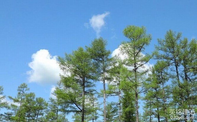 777久久久精品一区二区三区