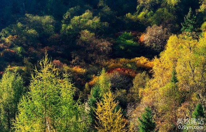 777久久久精品一区二区三区