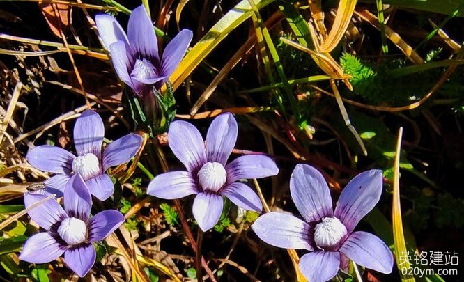 777久久久精品一区二区三区