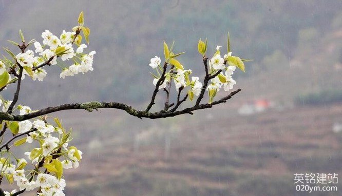 777久久久精品一区二区三区