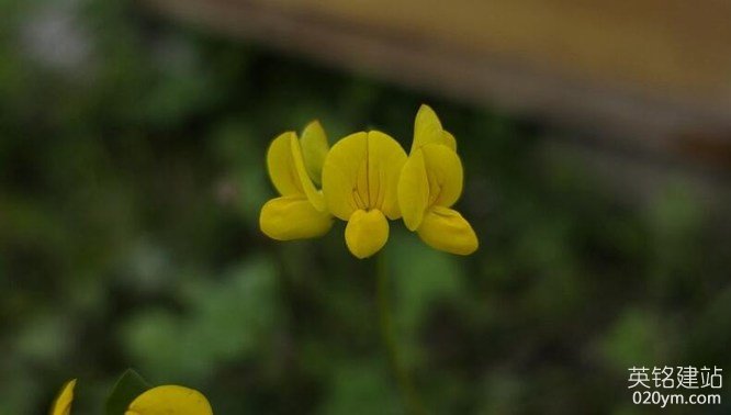 777久久久精品一区二区三区