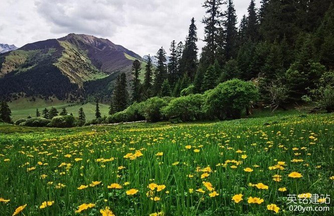 777久久久精品一区二区三区