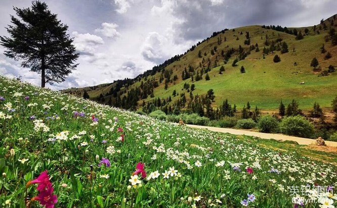 777久久久精品一区二区三区