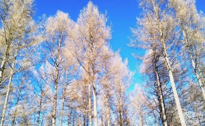 777久久久精品一区二区三区