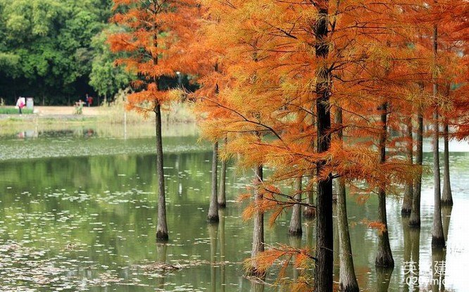 777久久久精品一区二区三区