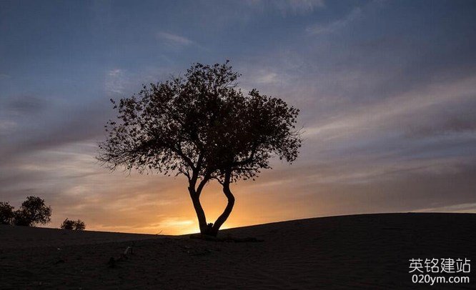 777久久久精品一区二区三区