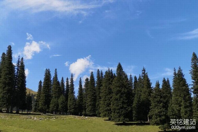 777久久久精品一区二区三区