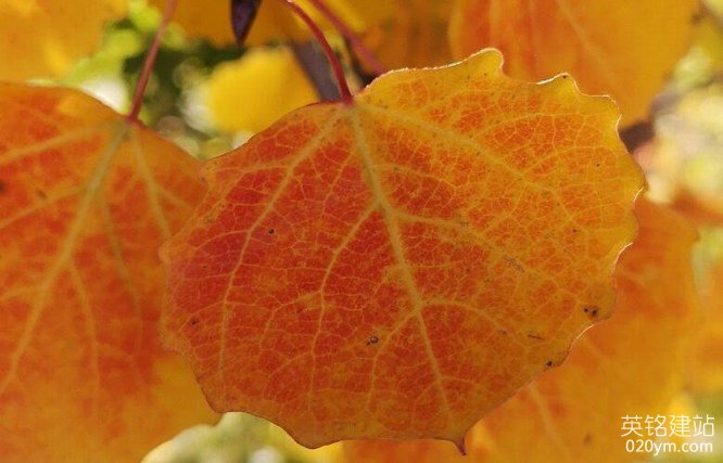 777久久久精品一区二区三区