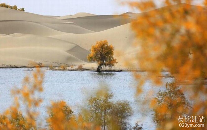 777久久久精品一区二区三区