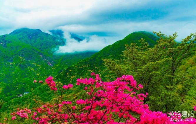 777久久久精品一区二区三区