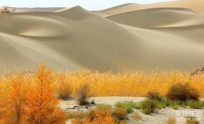 777久久久精品一区二区三区