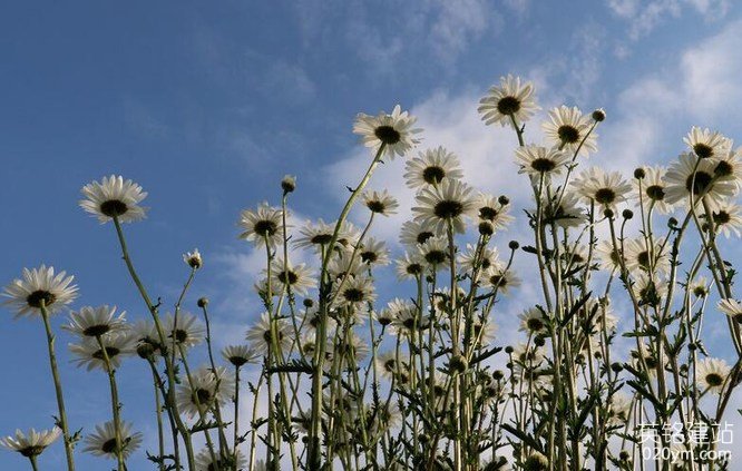 777久久久精品一区二区三区