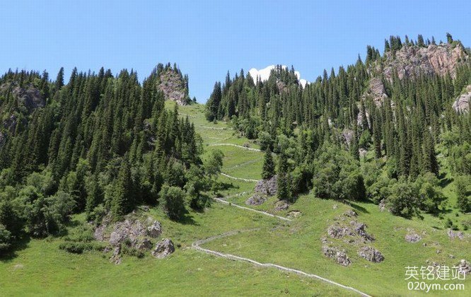 777久久久精品一区二区三区