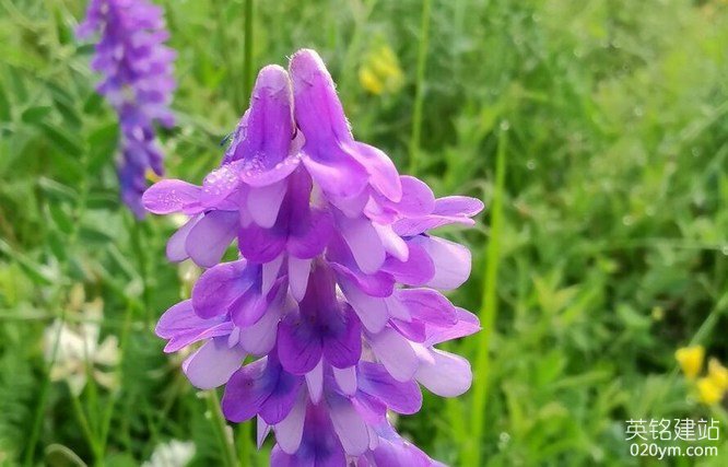 777久久久精品一区二区三区