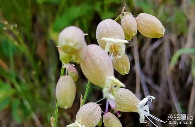 777久久久精品一区二区三区