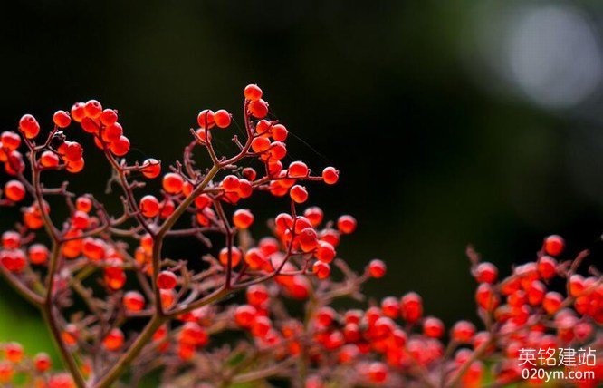 777久久久精品一区二区三区