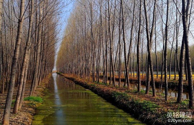 777久久久精品一区二区三区