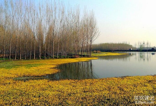 777久久久精品一区二区三区