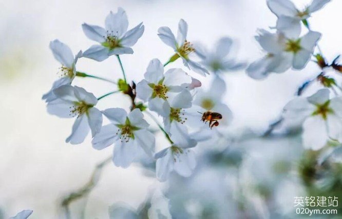 777久久久精品一区二区三区