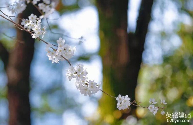 777久久久精品一区二区三区