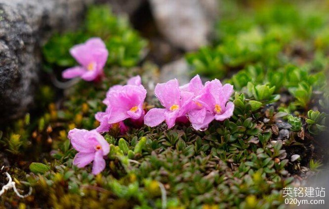 777久久久精品一区二区三区