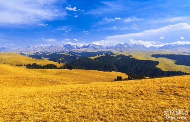 777久久久精品一区二区三区