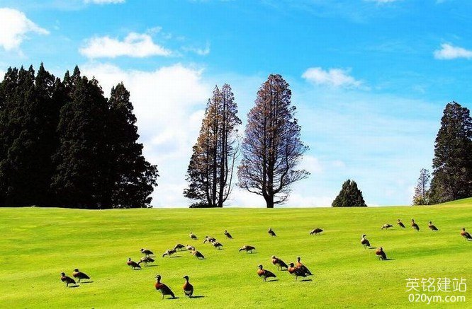 777久久久精品一区二区三区