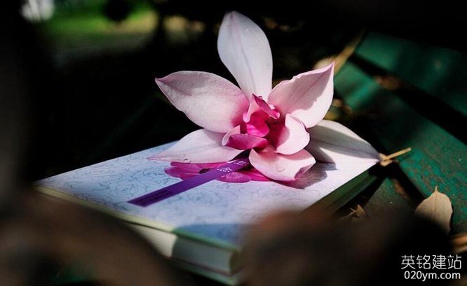 777久久久精品一区二区三区