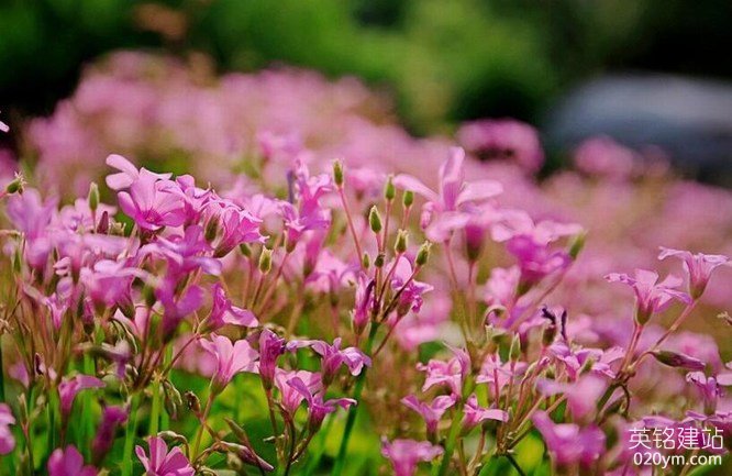 777久久久精品一区二区三区