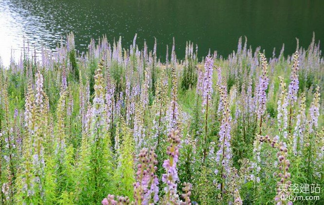 777久久久精品一区二区三区