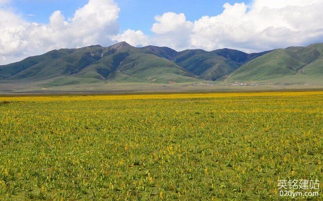 777久久久精品一区二区三区