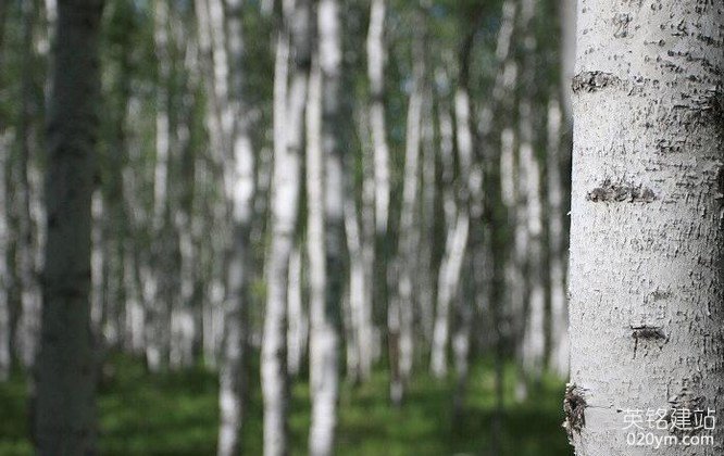 777久久久精品一区二区三区